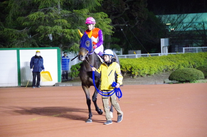 チョリータ 28戦目＠船橋競馬場 9R 2018.3.12_d0344707_21181732.jpg