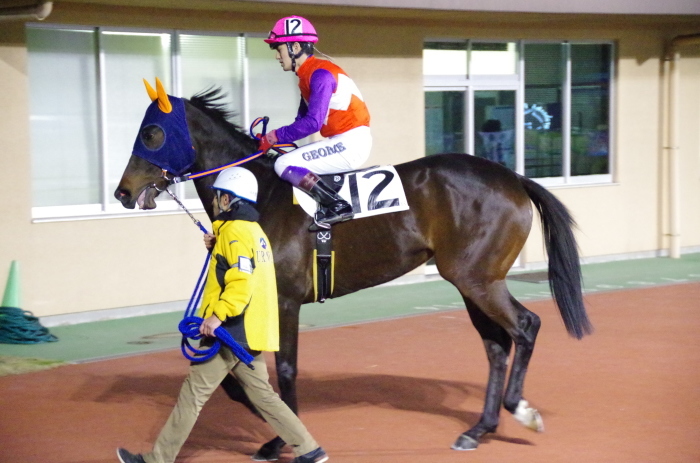 チョリータ 28戦目＠船橋競馬場 9R 2018.3.12_d0344707_21182202.jpg