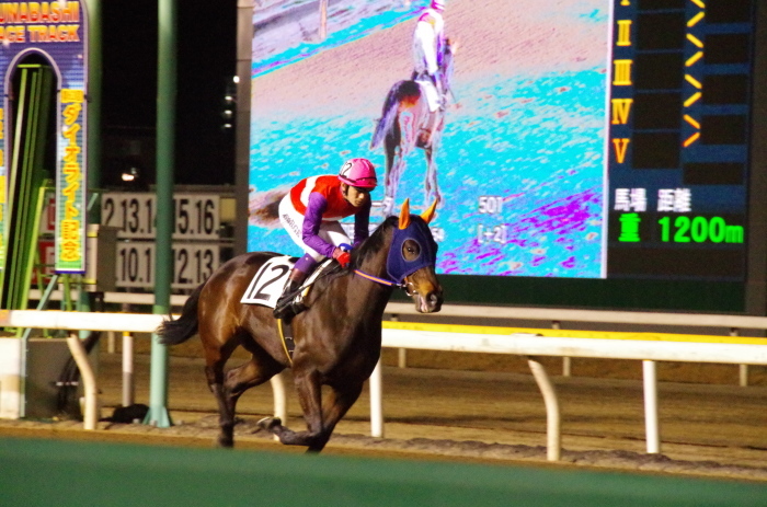 チョリータ 28戦目＠船橋競馬場 9R 2018.3.12_d0344707_21183662.jpg