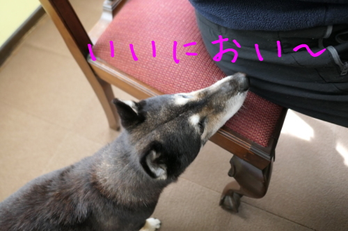 f0369014_11221888.jpg