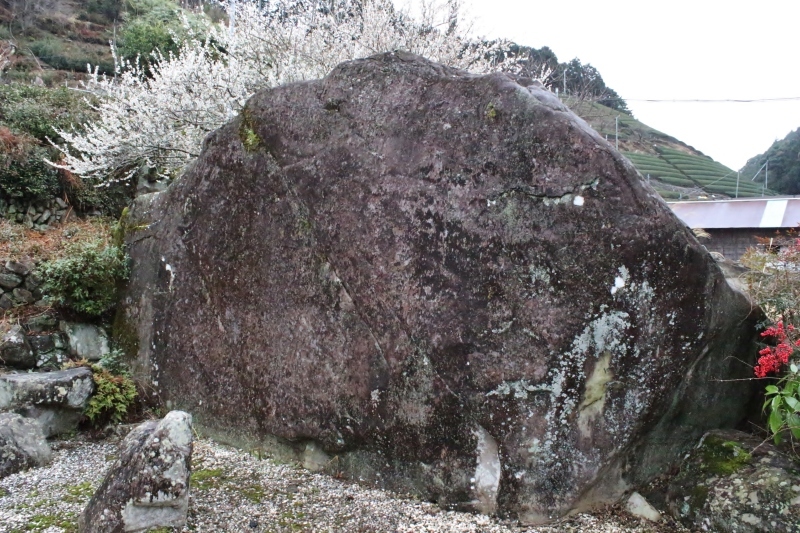 静岡、充実の時間_b0220318_14523777.jpg