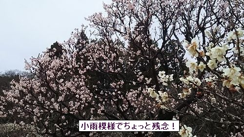 e0047322_22455729.jpg