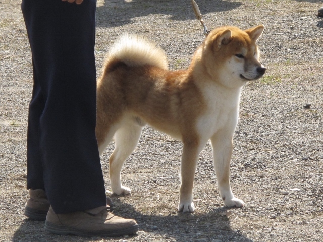 f0143123_09541117.jpg