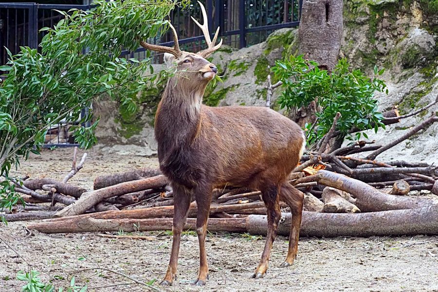 f0224624_06545688.jpg
