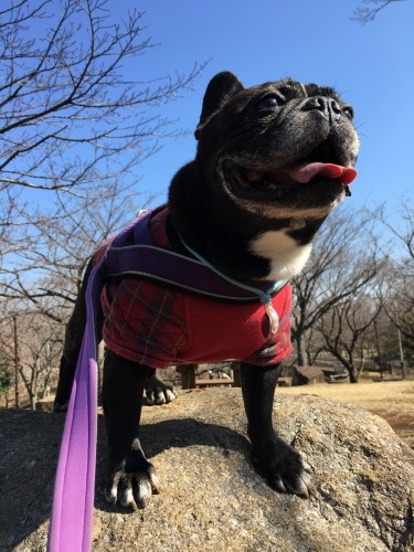 b0113232_11333222.jpeg