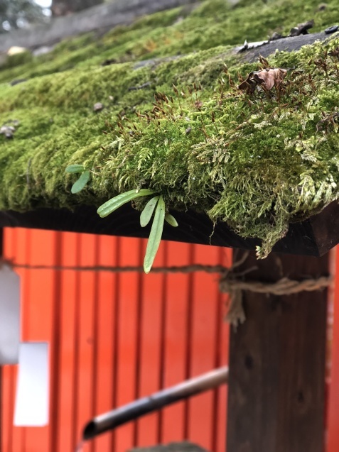 b0275132_20582071.jpeg