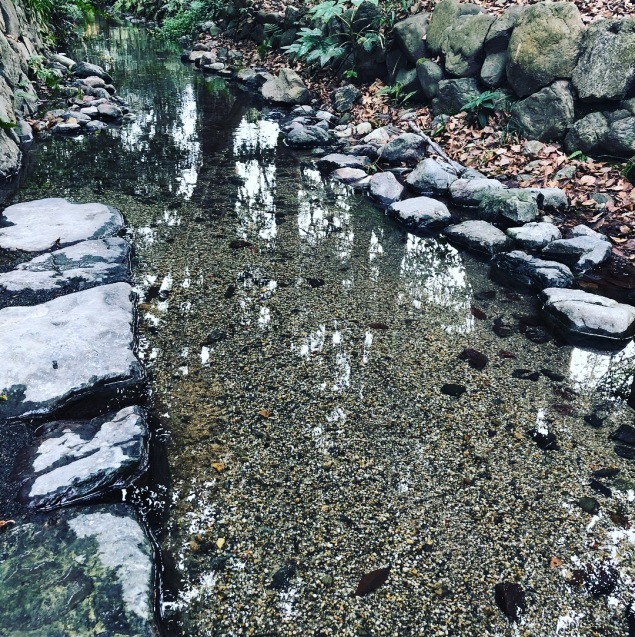 b0275132_21052470.jpeg