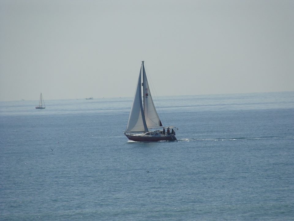 d0269832_13142037.jpeg
