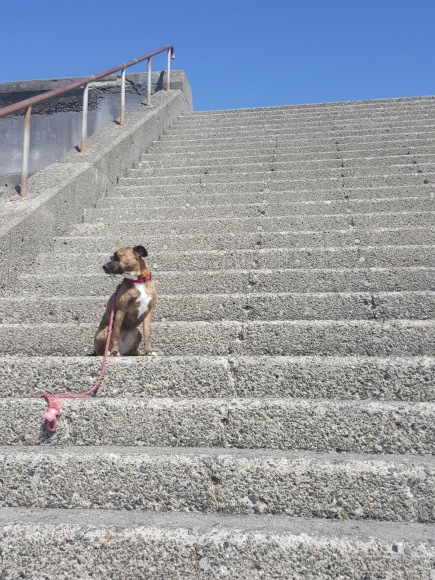 d0269832_13154146.jpeg