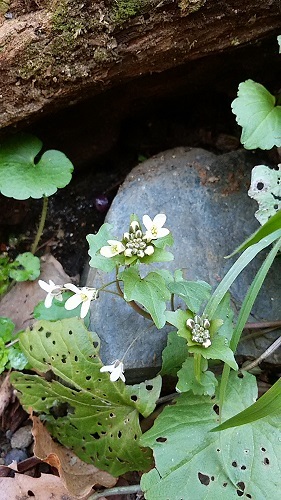 b0369040_14341868.jpg
