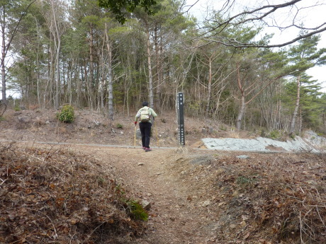 第52回 兵庫労山 『六甲全山縦走大会』 に参加_c0218841_14414946.jpg