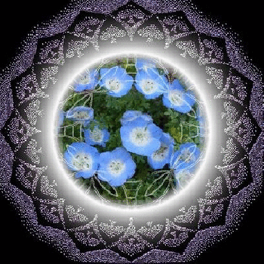 b0133752_22581928.gif
