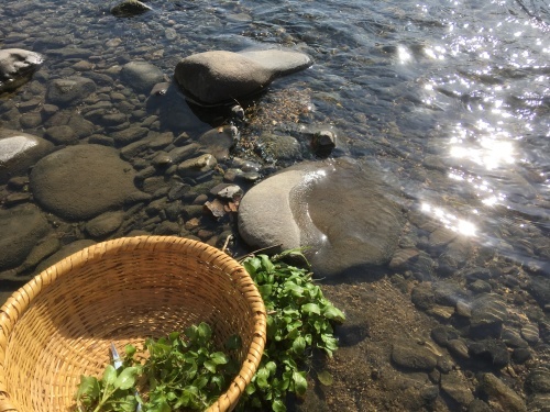 a0152454_12311326.jpeg