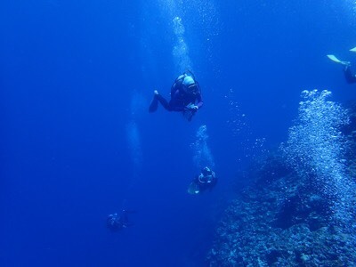 a0346455_08453901.jpeg