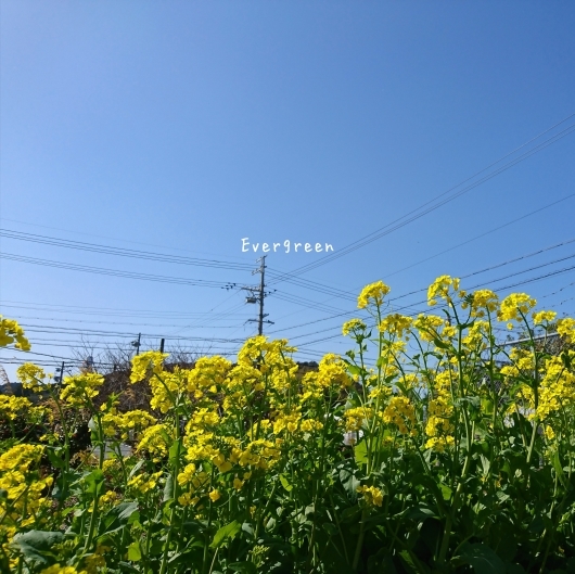 d0362666_22062362.jpg