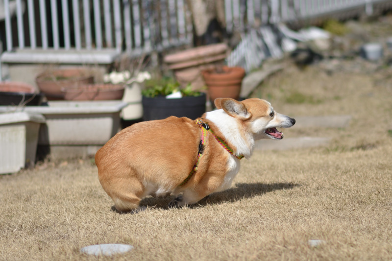 今日もいいお天気_f0393670_18013413.jpg