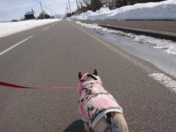 b0056476_12192687.gif