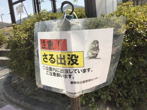 f0315081_22244482.jpeg