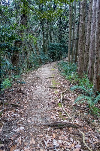 e0176993_07322937.jpg