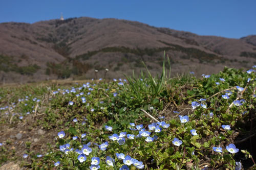 3月の宝篋山_a0157297_18345869.jpg