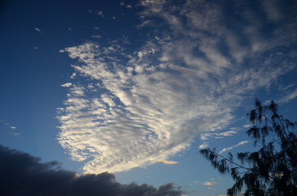 a0288500_20101940.jpg