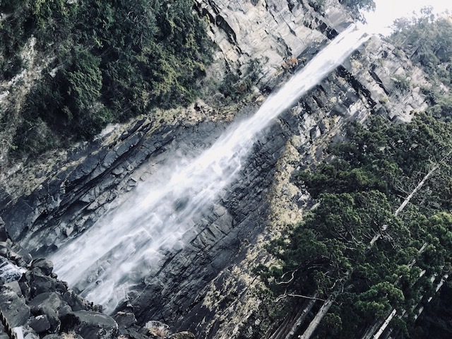 a0050302_13442013.jpg