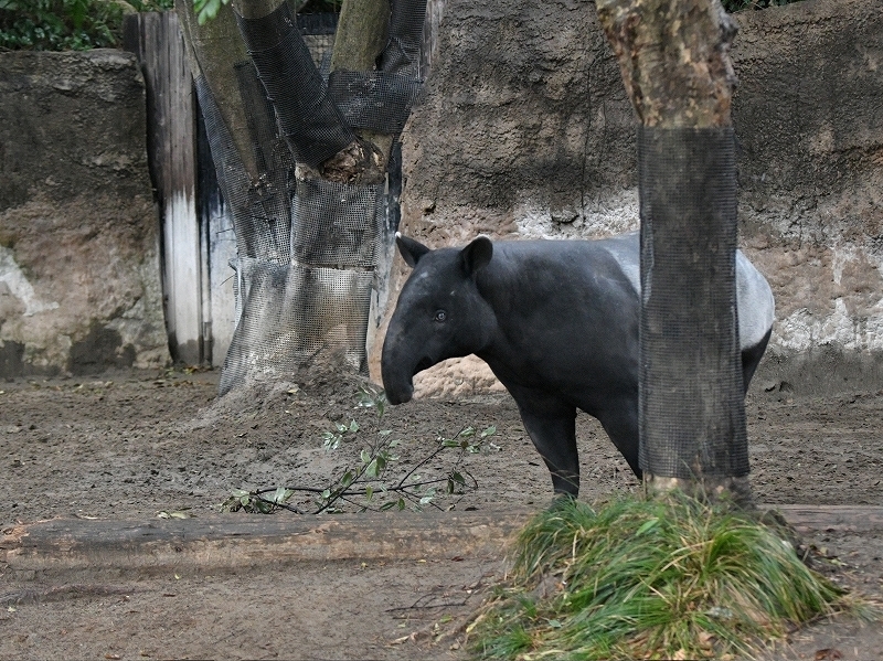 a0164204_13231504.jpg
