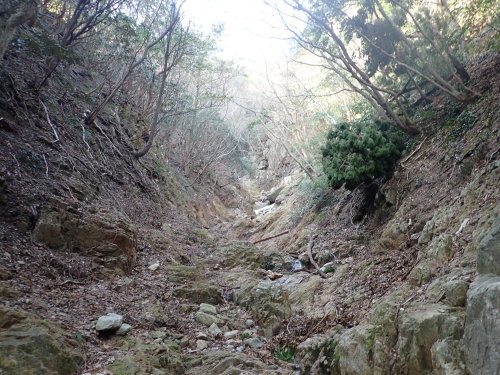 d0342206_19451587.jpg