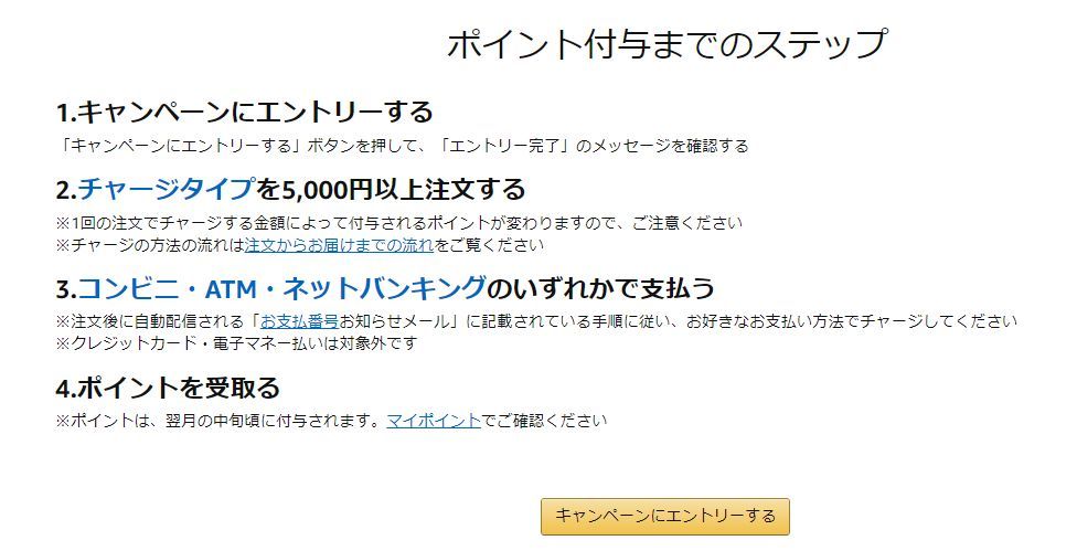 2018Amazonチャージ 初回購入限定キャンペーン_c0025115_20162892.jpg
