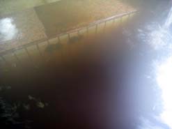 日本一黒い湯の温泉「東北温泉」に立ち寄りです。_e0069615_21291011.jpg