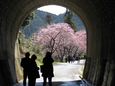 豊橋鉄道田口線の跡を歩く_d0172422_23194741.jpg