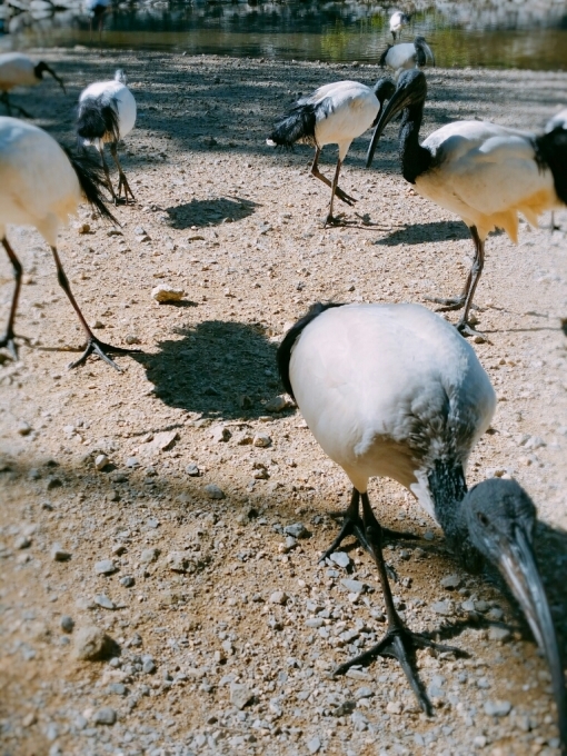 c0215224_22054581.jpg