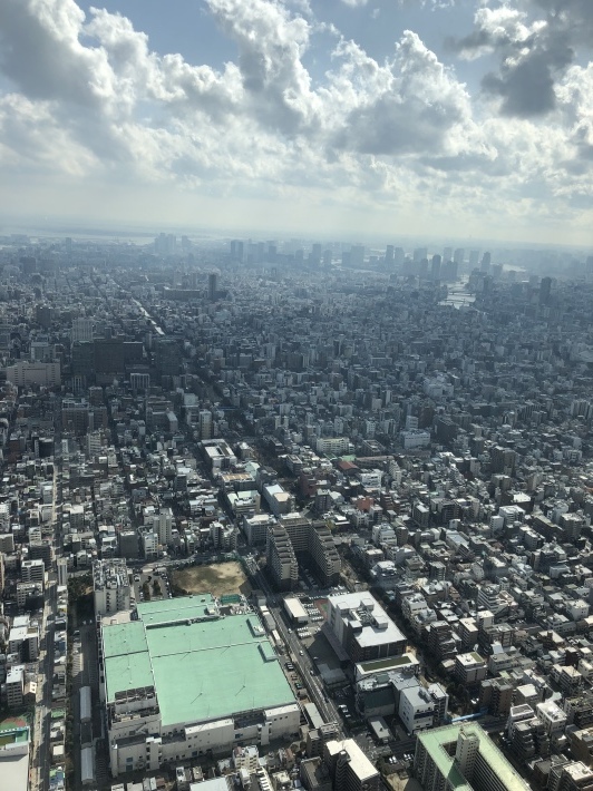 d0282139_13322722.jpeg