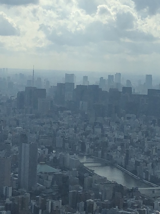 d0282139_13331033.jpeg