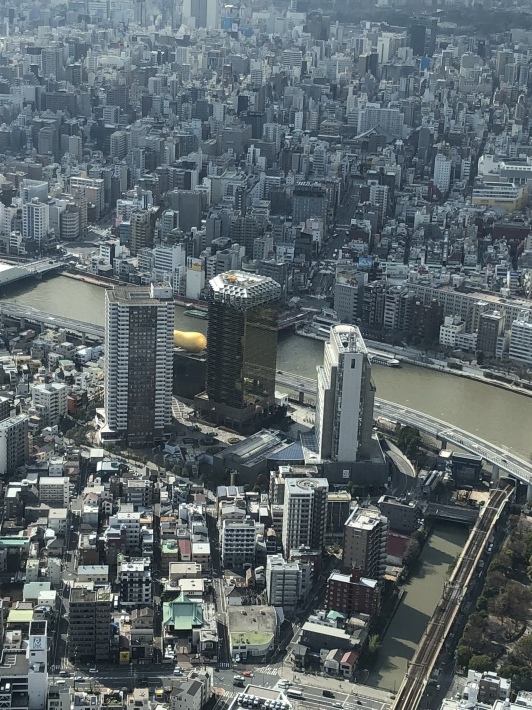 d0282139_13425757.jpeg