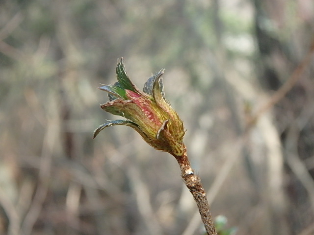f0334143_85451.jpg