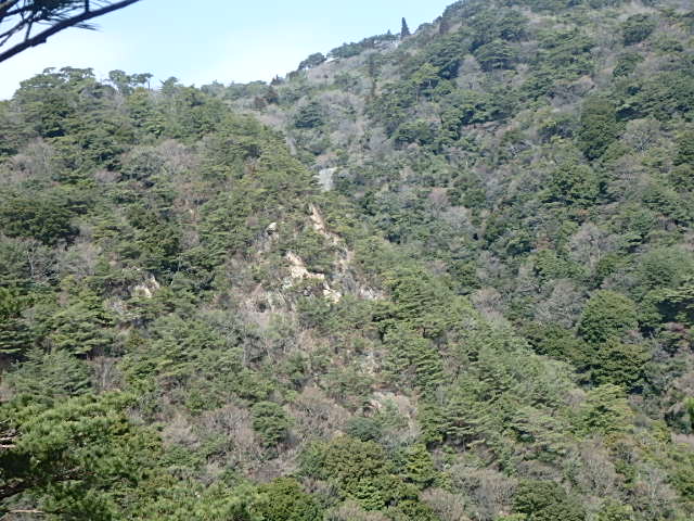 f0334143_8554150.jpg