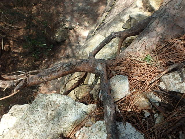 f0334143_858469.jpg