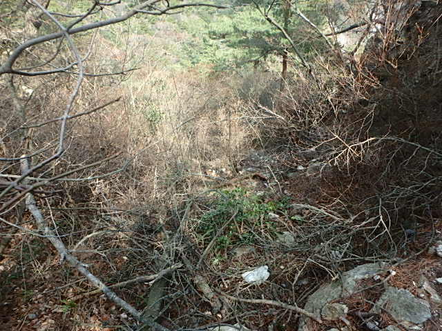 f0334143_912530.jpg