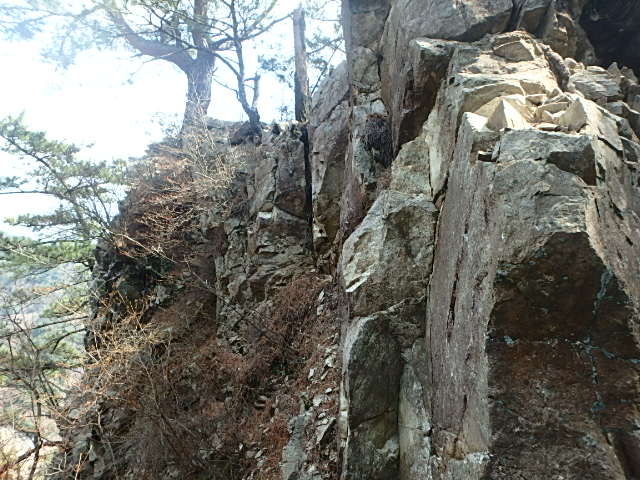f0334143_9182.jpg