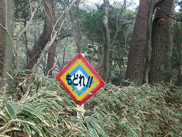 f0334143_923921.jpg
