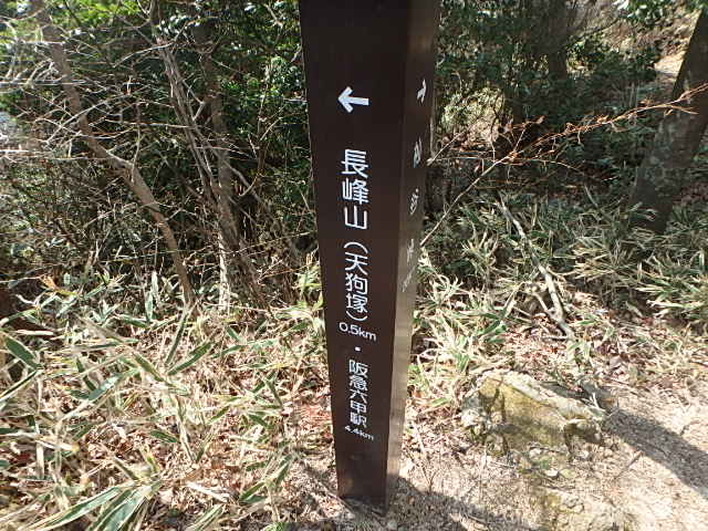 f0334143_925640.jpg
