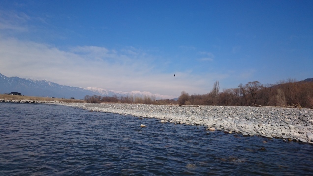 e0343445_17421975.jpg