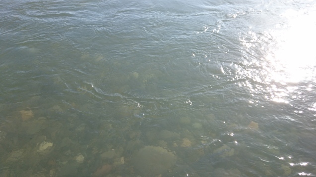 e0343445_18175593.jpg