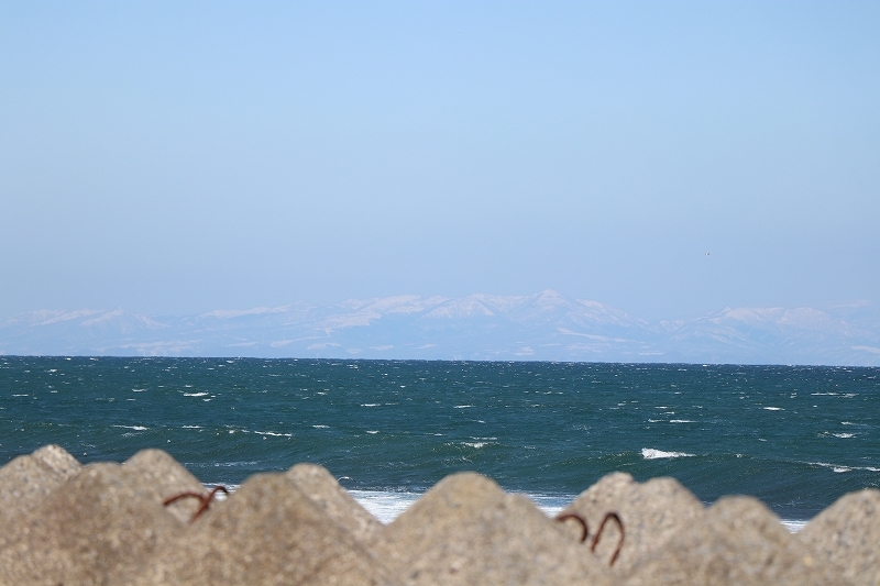 b0250154_21280758.jpg