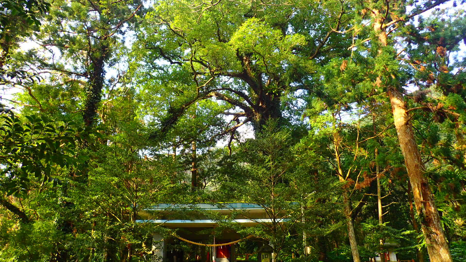 b0160957_22352890.jpg