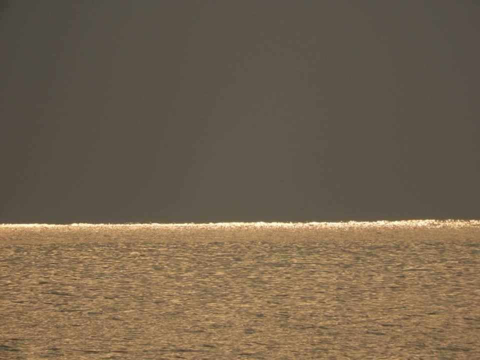 b0160957_22410293.jpg