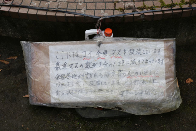 f0395158_18223895.jpg