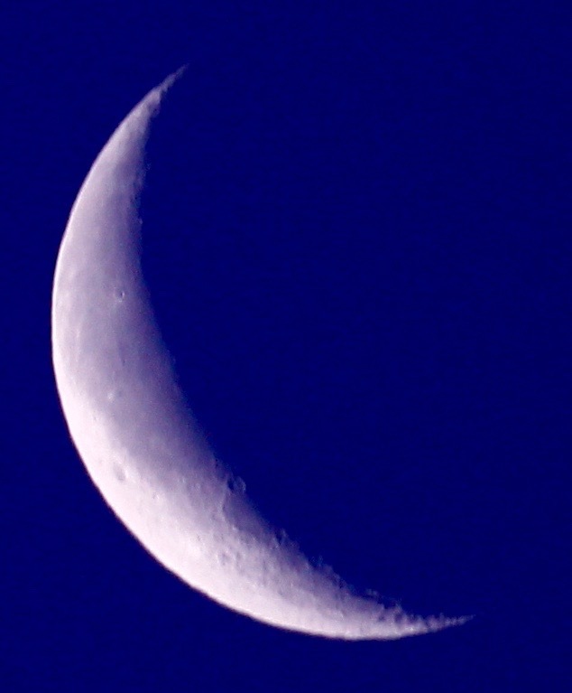 a0248459_14253479.jpg