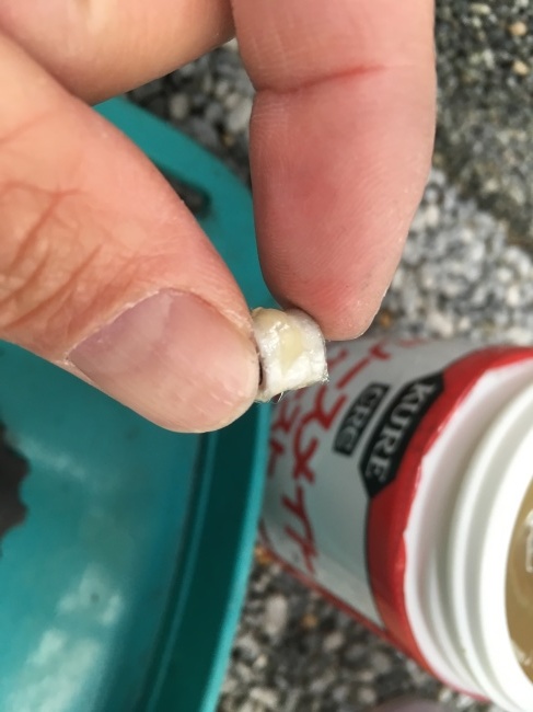 e0187064_16131661.jpeg